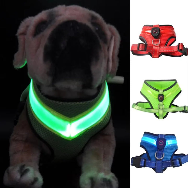 LED Hundesele USB oppladbar og justerbar Luvikno