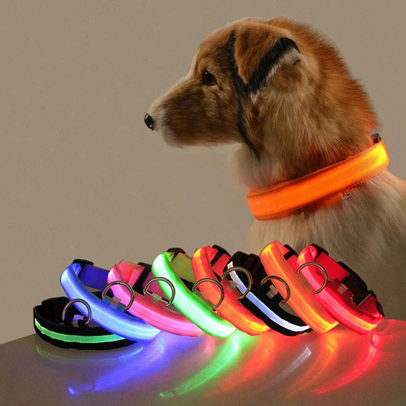 GlowCollar LED – BrightPaws Luvikno