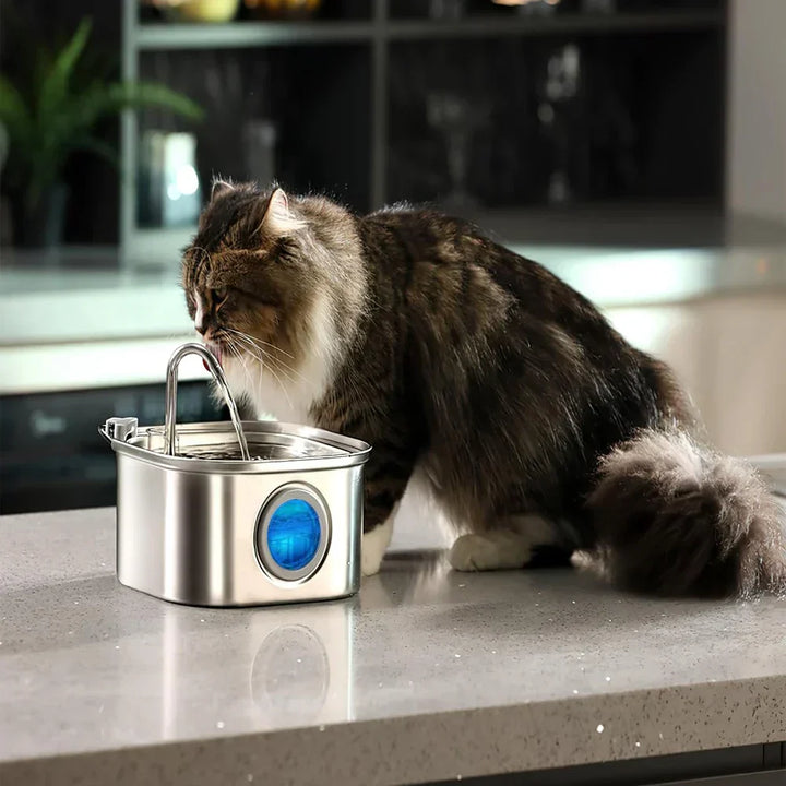 Luvikno | Felindra Katte Drikkefontene Laget av Rustfritt Stål | Strømmende Vann for Bedre Hydrering | Stille & Hygienisk | 2,5 L Kapasitet