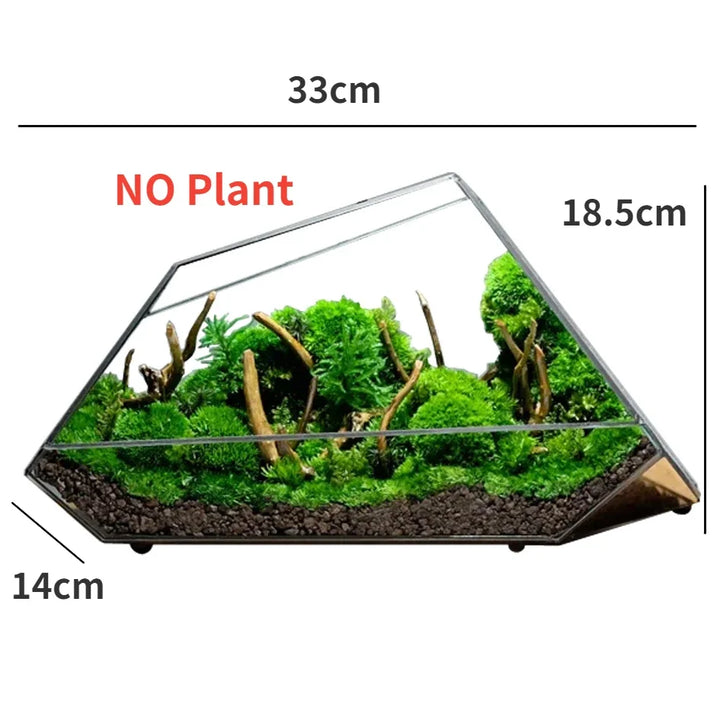 Geometrisk Glass Moss Plante Terrarium Vase | Luvikno