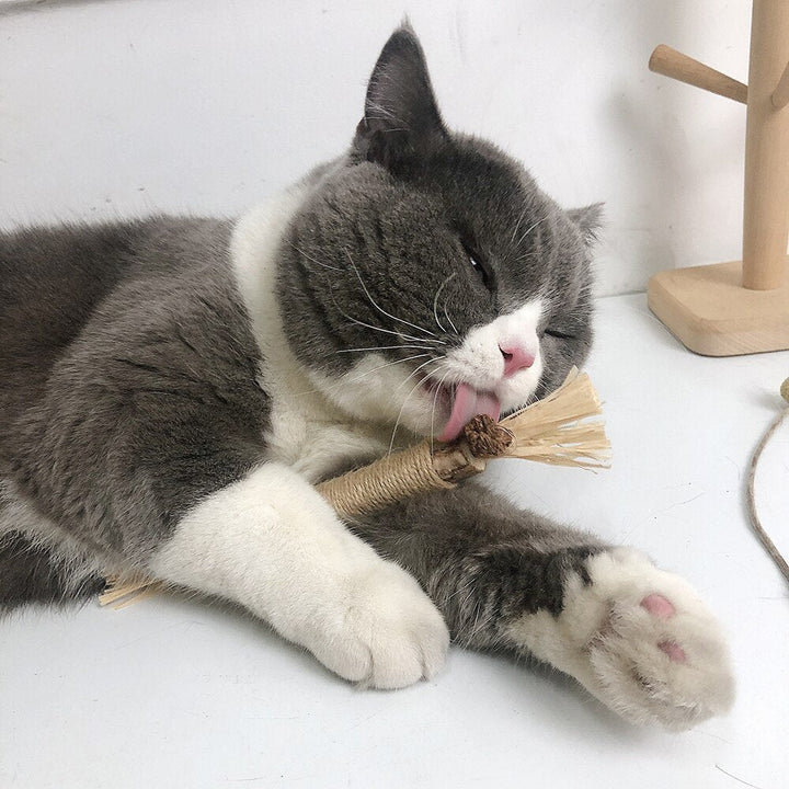 PawBite – Naturlige Tygestikker for Katter Luvikno