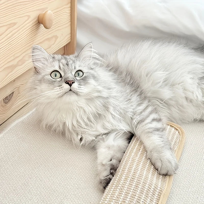 Klorepute for katter med kattmynt holdbar og robust Luvikno