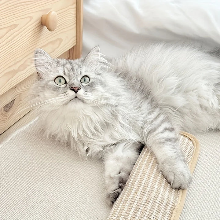 Klorepute for katter med kattmynt holdbar og robust Luvikno