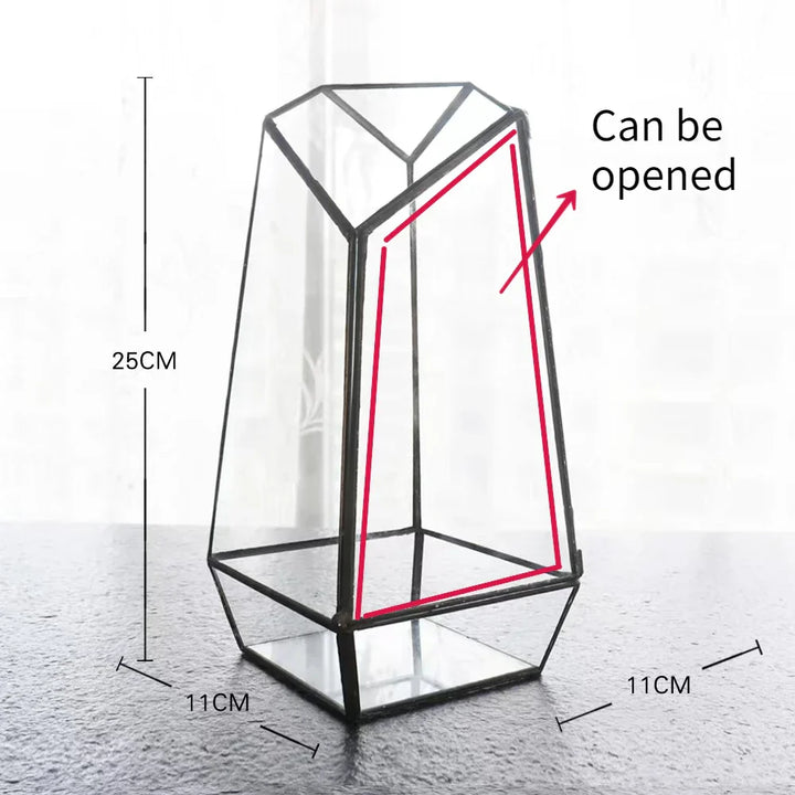 Moderne Geometriske Natur-Inspirerte Botaniske Terrarium | Luvikno