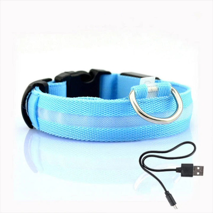 GlowCollar LED – BrightPaws Luvikno