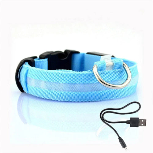 GlowCollar LED – BrightPaws Luvikno