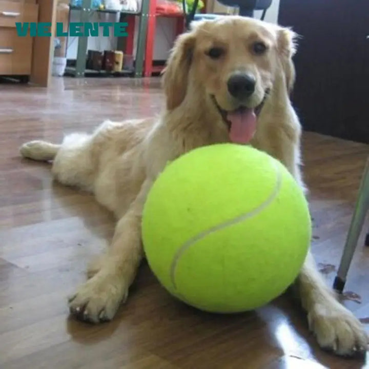 Ekstra stor tennisball for hunder Luvikno