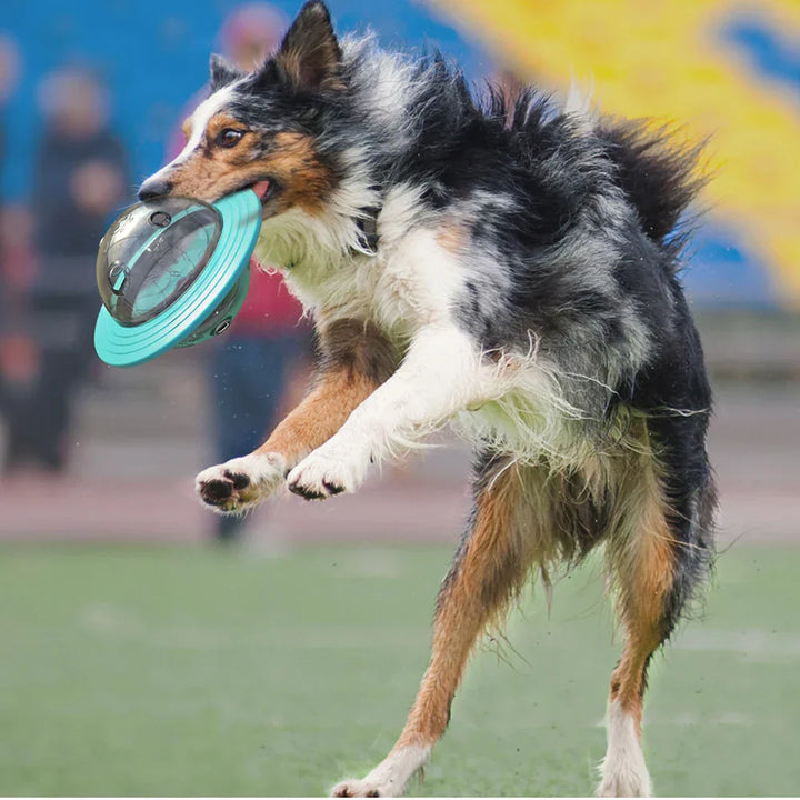 Luvikno | SmartPlay Disc Hund & Katt Leketøy | Interaktiv Fôrdeler & Intelligens Trener | Frisbee & Sakte Fôrer