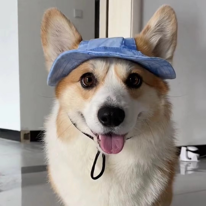 Chic Pet Sun Hat - Lettvekts og stilfull solbeskyttelse for hunder og katter Luvikno