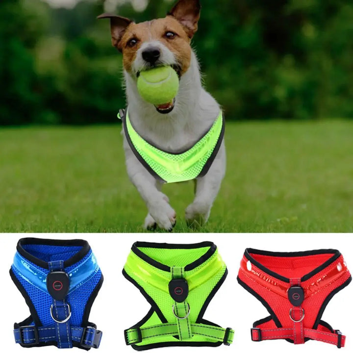 LED Hundesele USB oppladbar og justerbar Luvikno