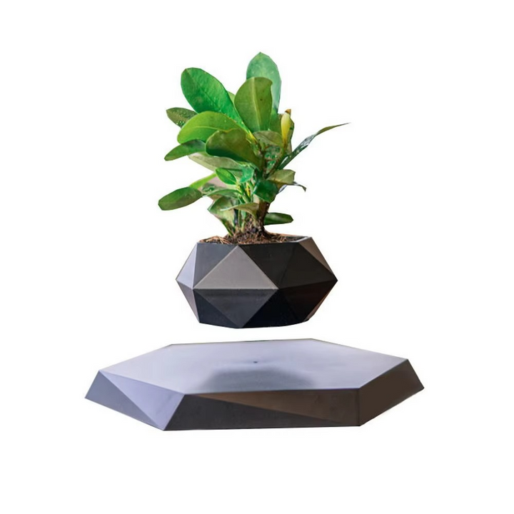 Magnetisk svevende Bonsai Plantekrukke, Flytende Blomsterkrukke for Hjem og Kontor Dekor Luvikno