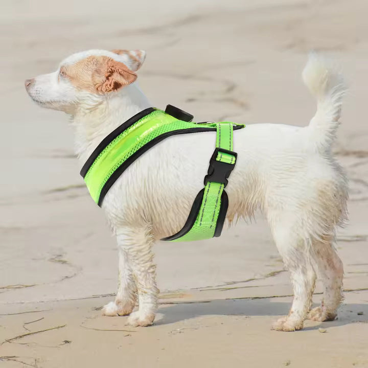LED Hundesele USB oppladbar og justerbar Luvikno
