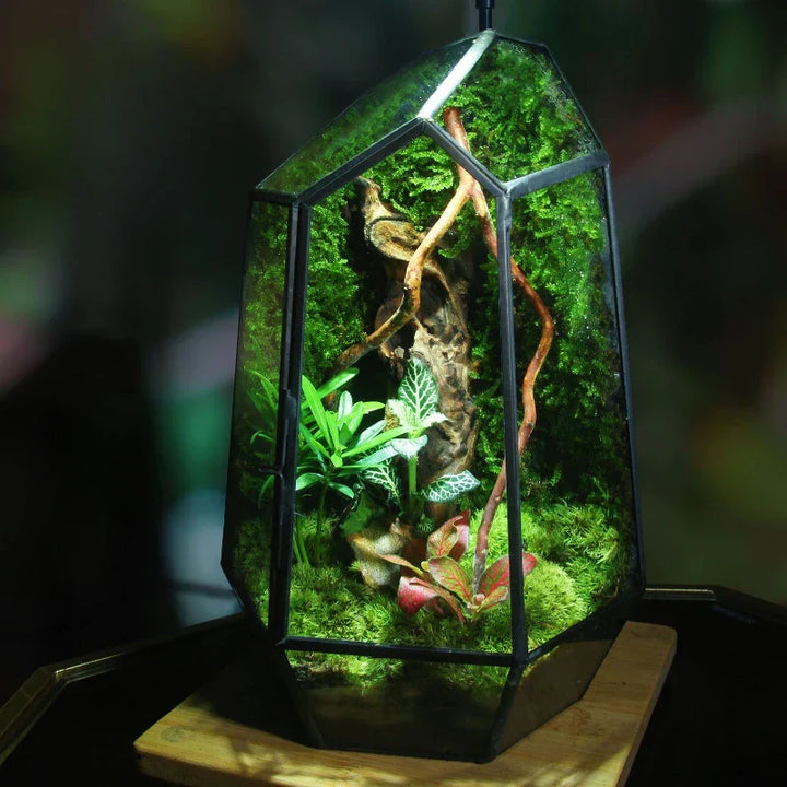 Moderne Geometriske Natur-Inspirerte Botaniske Terrarium | Luvikno
