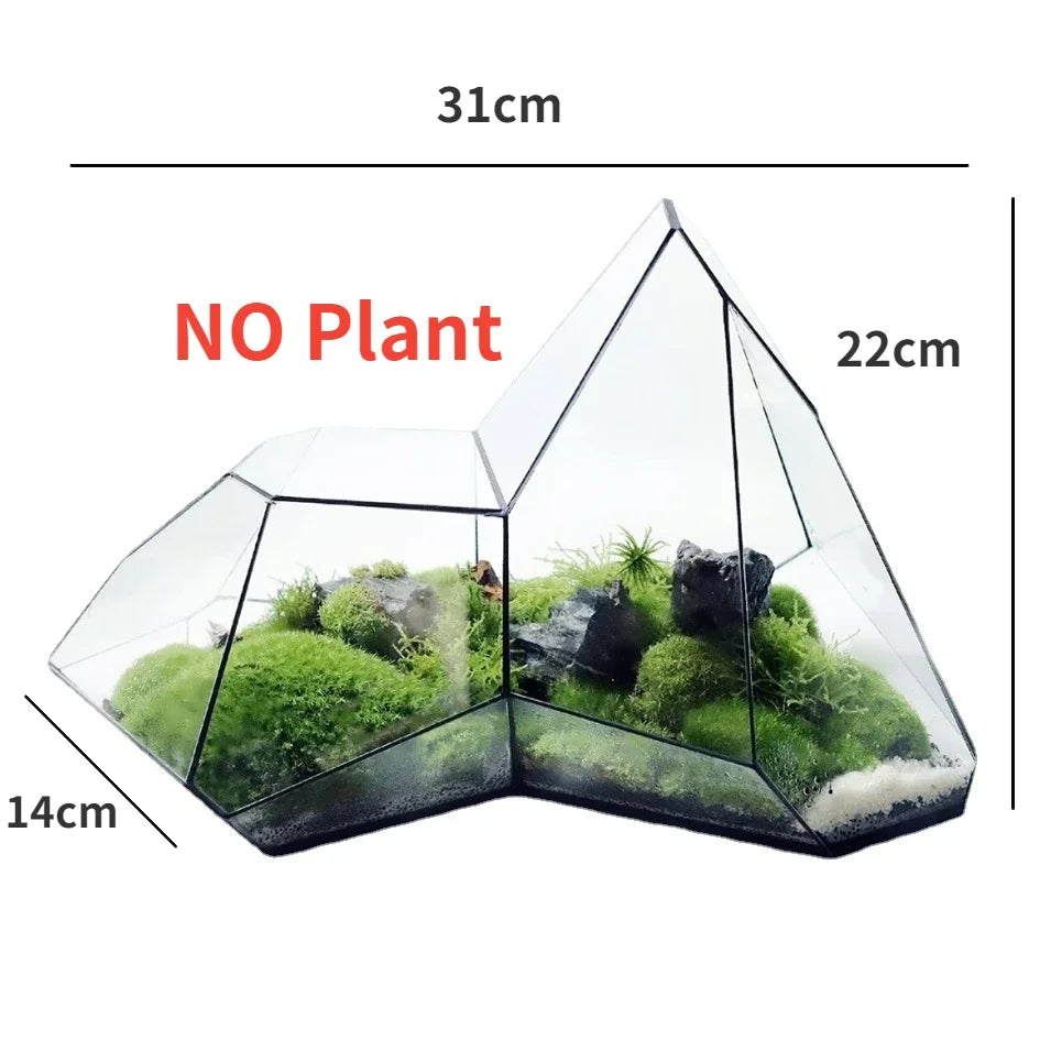 Geometrisk Glass Moss Plante Terrarium Vase | Luvikno
