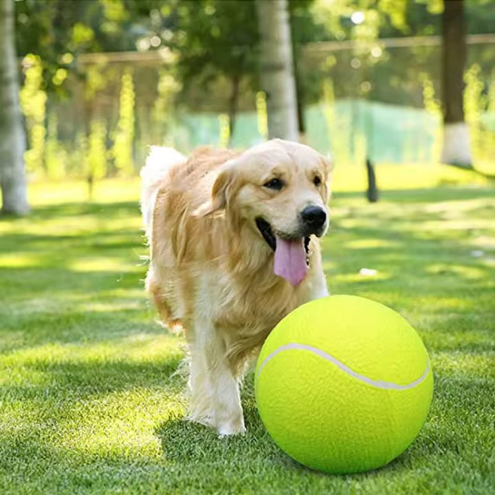 Ekstra stor tennisball for hunder Luvikno