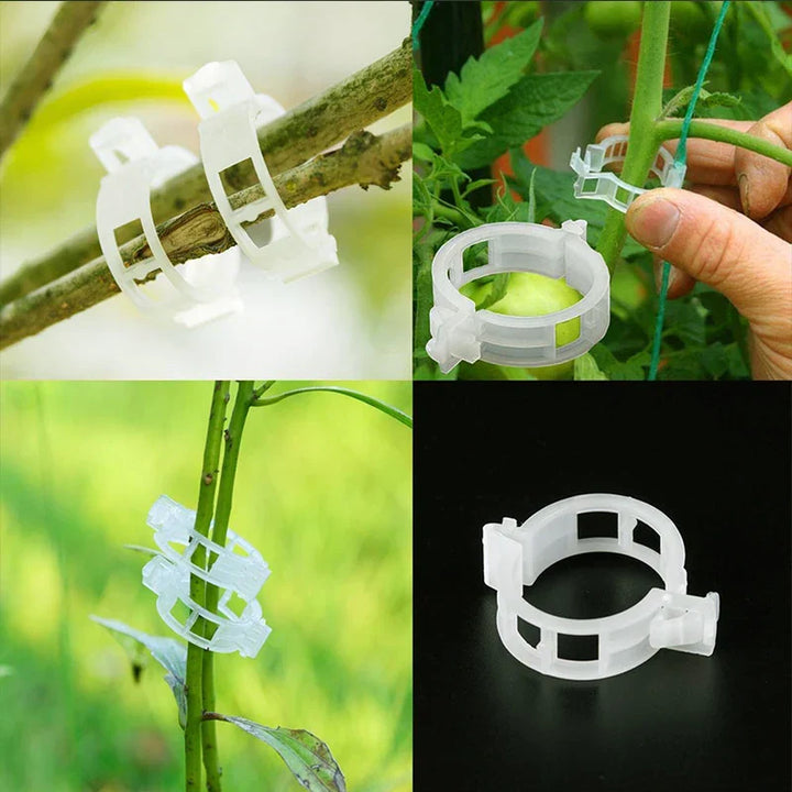 Plastklemmer for plante støtte | Grafting og fikseringsverktøy! | Luvikno