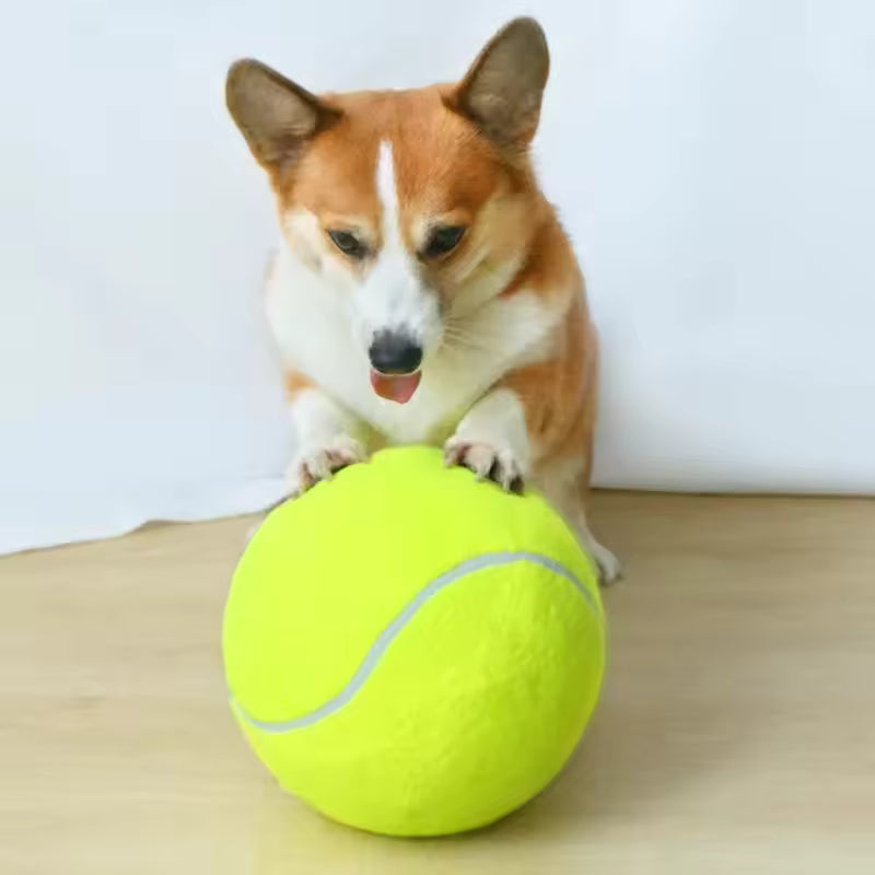 Ekstra stor tennisball for hunder Luvikno