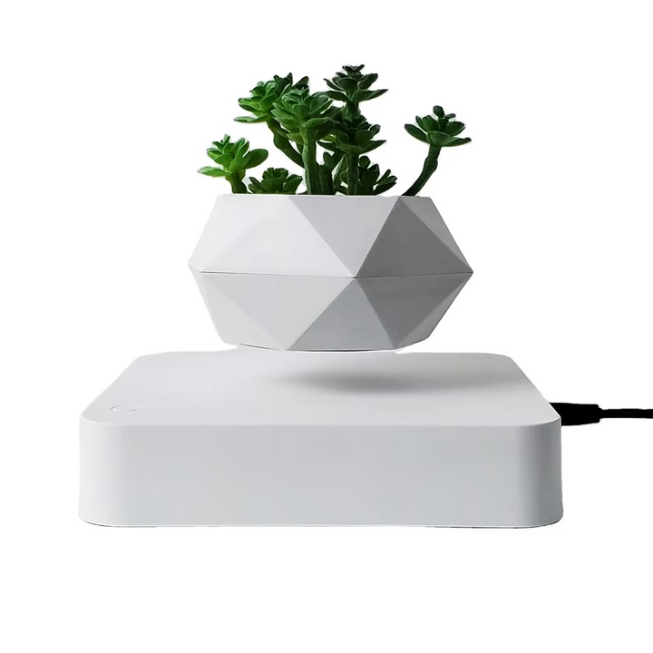 Magnetisk svevende Bonsai Plantekrukke, Flytende Blomsterkrukke for Hjem og Kontor Dekor Luvikno