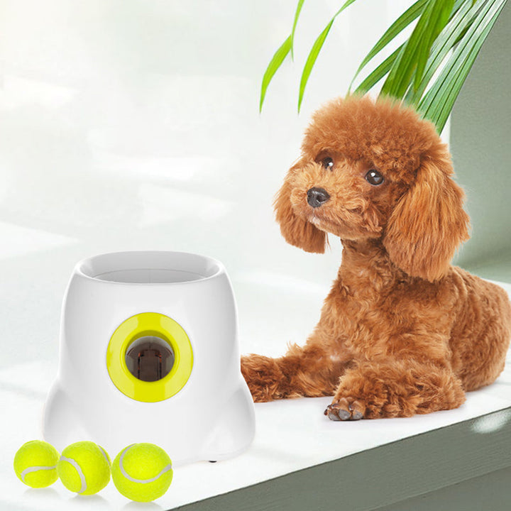 PetLaunch | Luvikno