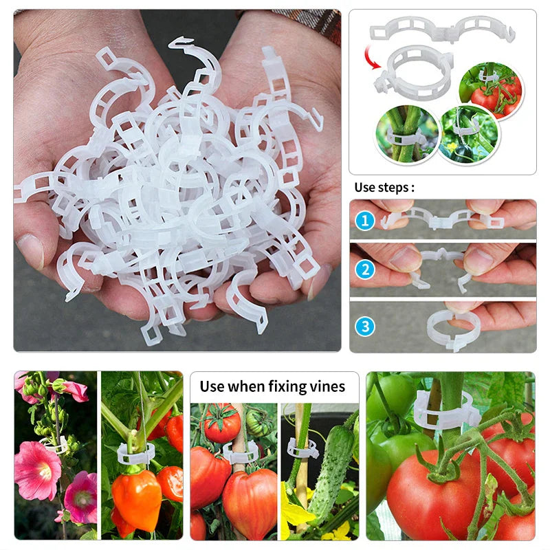 Plastklemmer for plante støtte | Grafting og fikseringsverktøy! | Luvikno