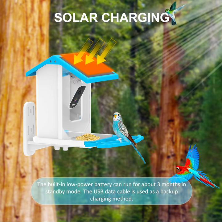 Solcelledrevet smart fuglemater med HD AI-kamera Luvikno