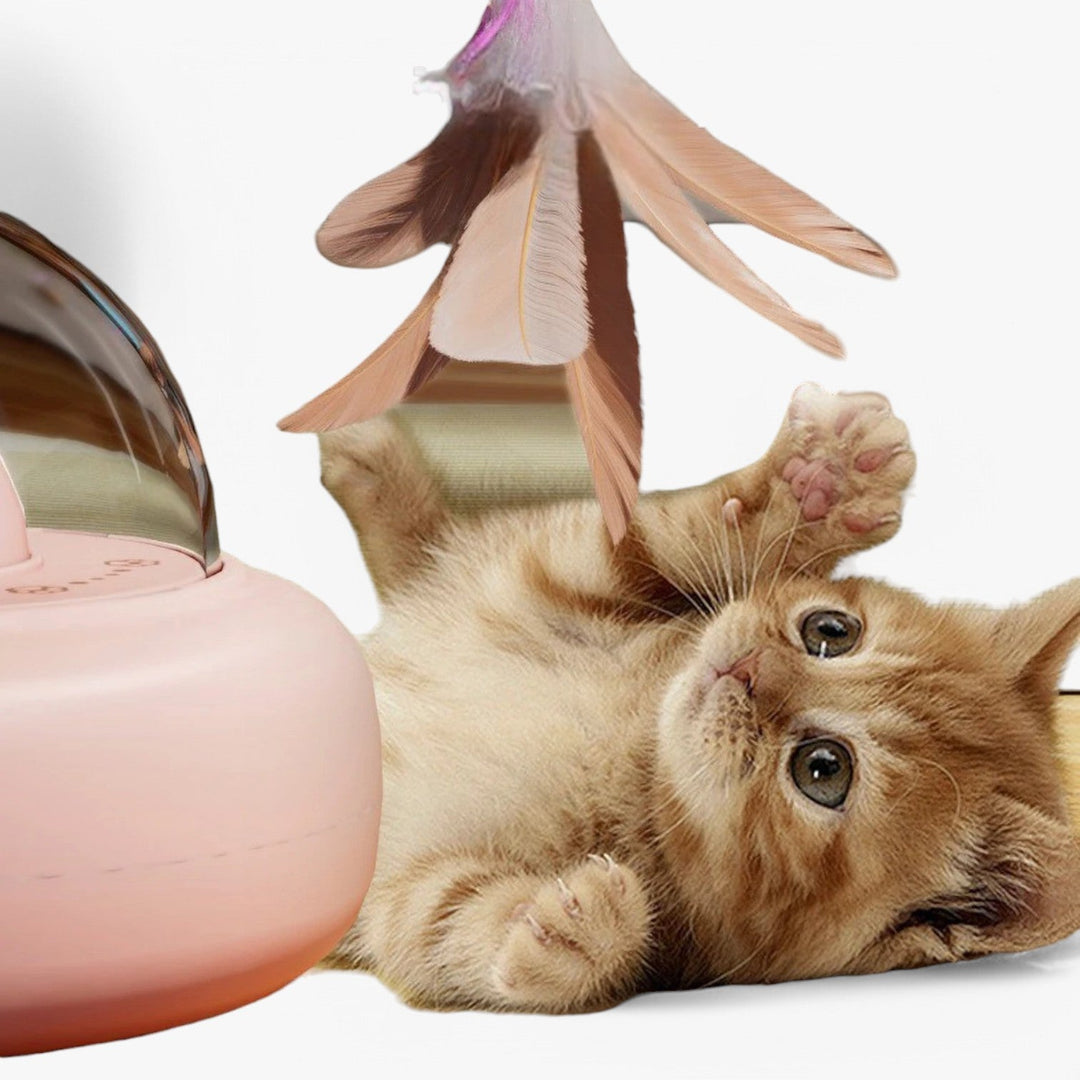 Smart Cat Laser "Hunting Light" med regnbuefunksjon og USB-ladingsfunksjon | Luvikno