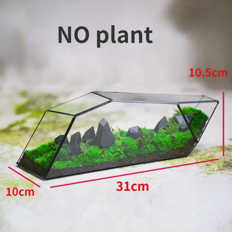 Geometrisk Glass Moss Plante Terrarium Vase | Luvikno