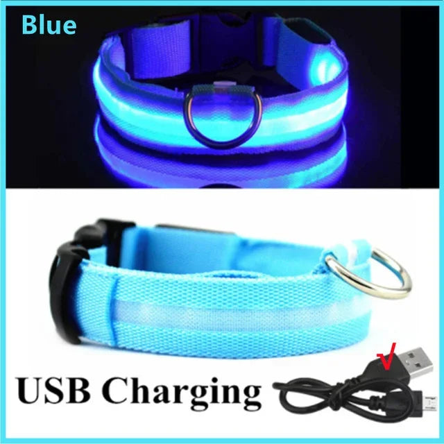 Luvikno | LUXPETS GlowSafe LED Hundekrage | Belyst & Oppladbar | Justerbar & Vanntett | Antitap på Natt
