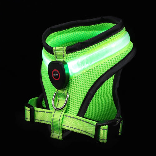 LED Hundesele USB oppladbar og justerbar Luvikno