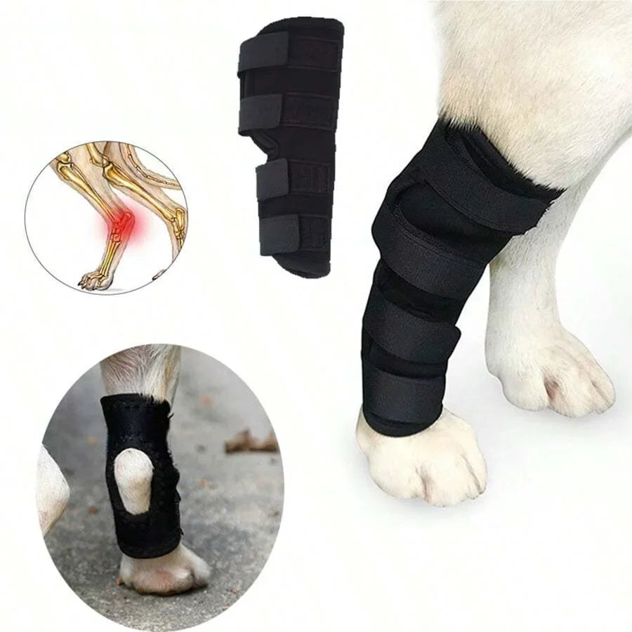 Felles støtte for hunder stabilisering & beskyttelse Luvikno