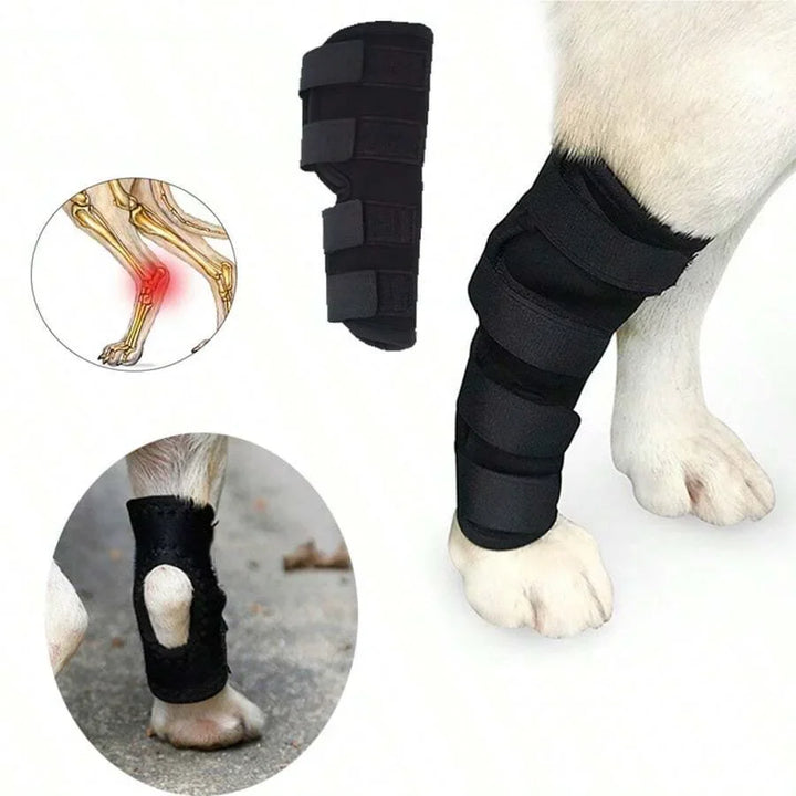Felles støtte for hunder stabilisering & beskyttelse Luvikno