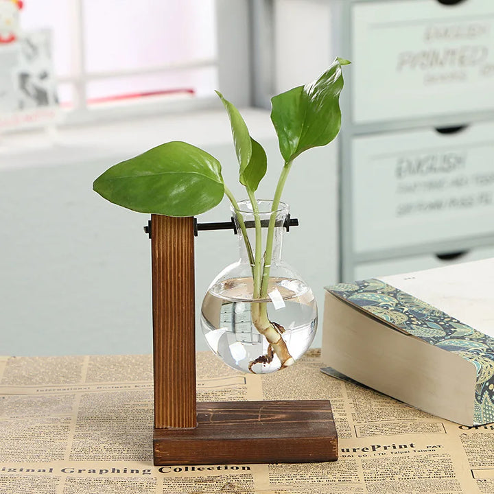 Luvikno | Naturiva Design Glassvase med Trellager | For Snittblomster & Hydroponikk | Skandinavisk Stil | 3-Delt Sett