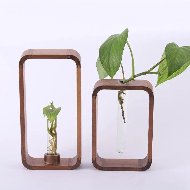 Hollow Plant Propagator Luvikno