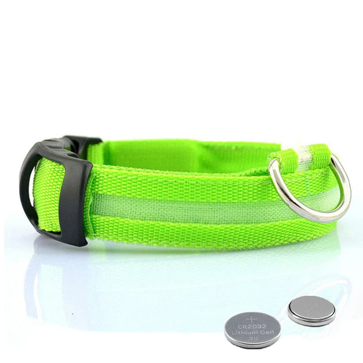 GlowCollar LED – BrightPaws Luvikno