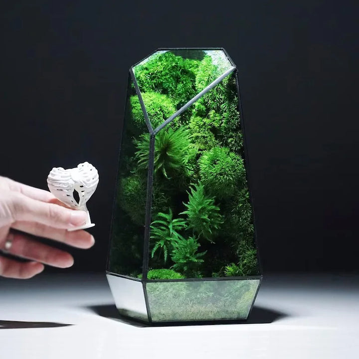 Moderne Geometriske Natur-Inspirerte Botaniske Terrarium | Luvikno