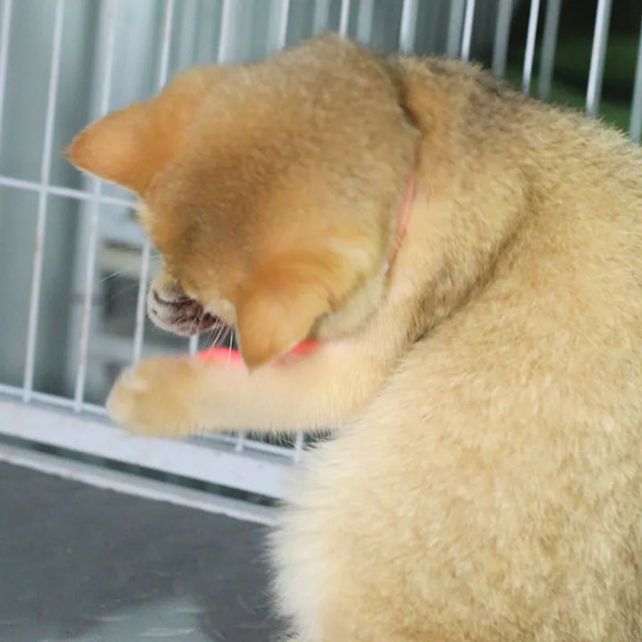 Freesthetic Laser Collar for Cats Luvikno