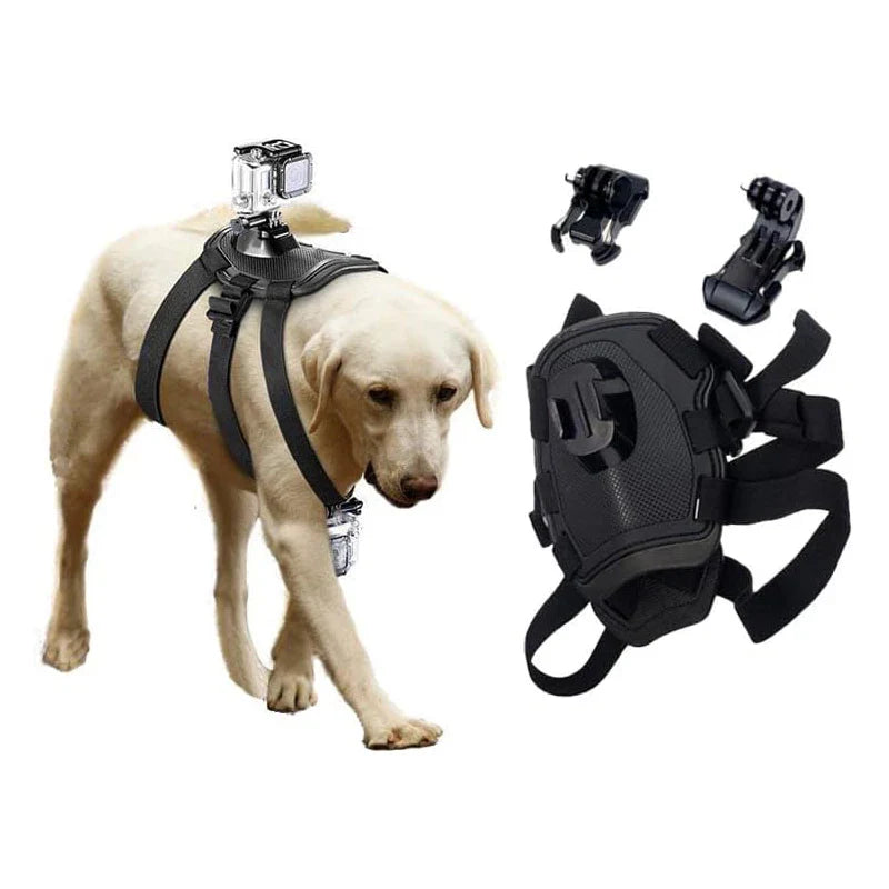 Action-Cam Hundesele med 360° Perspektiv Luvikno