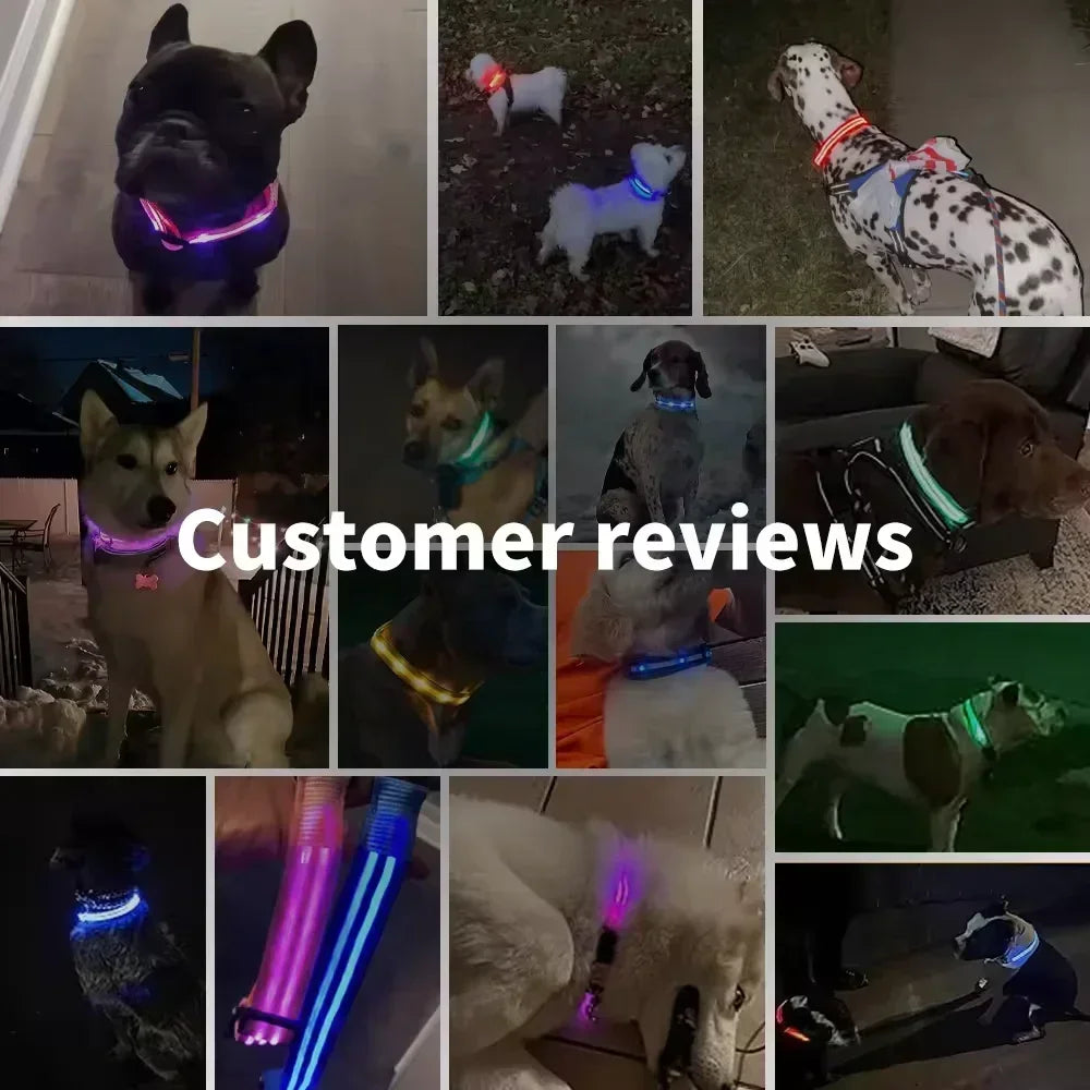 Luvikno | LUXPETS GlowSafe LED Hundekrage | Belyst & Oppladbar | Justerbar & Vanntett | Antitap på Natt