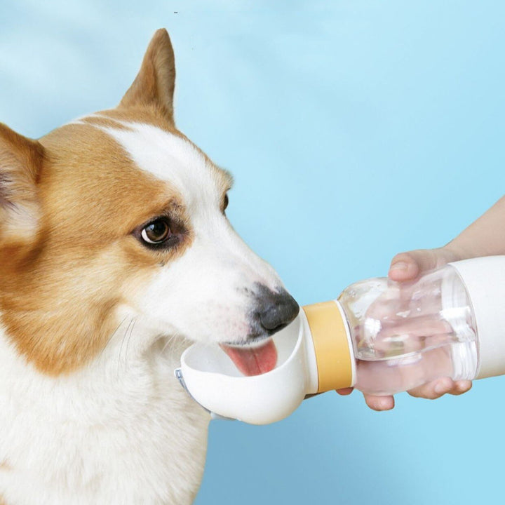2in1 Smart Pet Portable Water Bottle Feeder | Luvikno