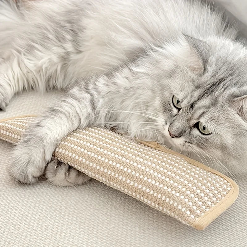 Klorepute for katter med kattmynt holdbar og robust Luvikno