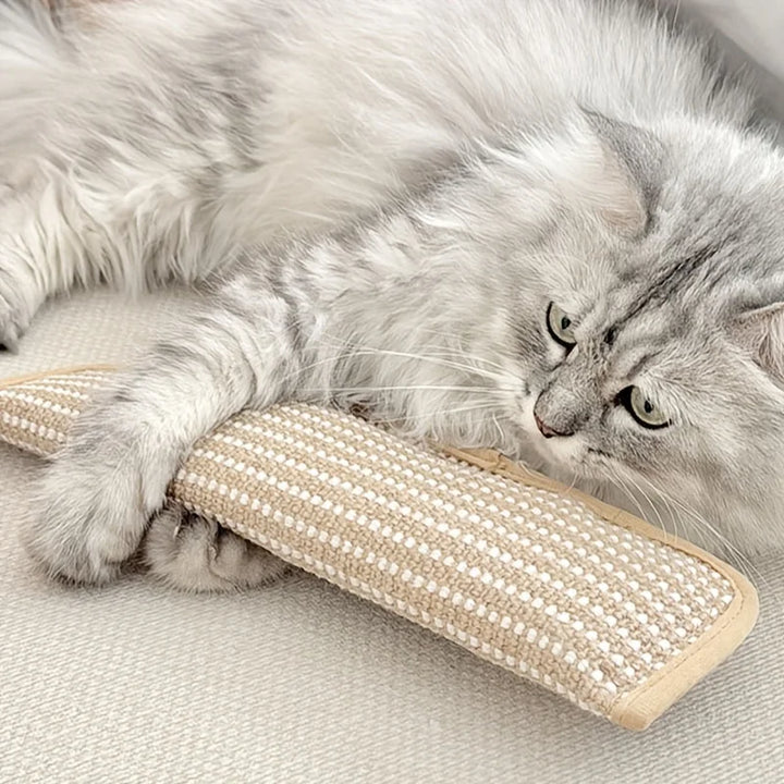 Klorepute for katter med kattmynt holdbar og robust Luvikno