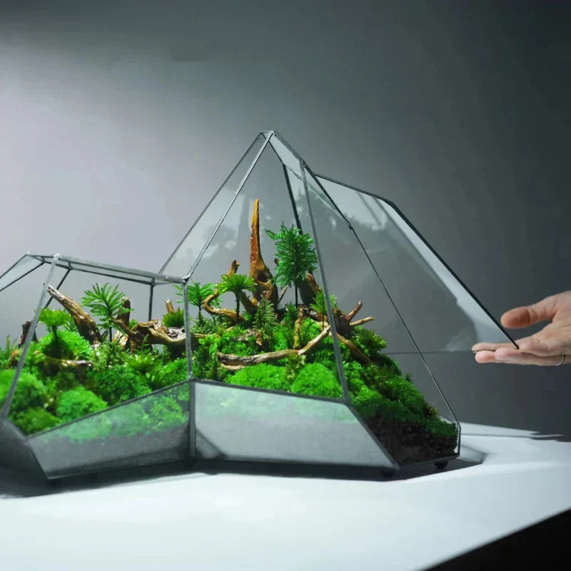 Geometrisk Glass Moss Plante Terrarium Vase | Luvikno