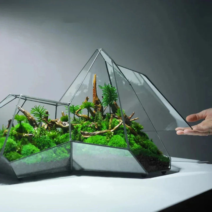 Geometrisk Glass Moss Plante Terrarium Vase | Luvikno