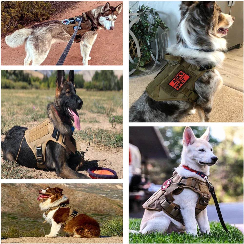 Luvikno | Guardpaw Taktisk Hundesele med Håndtak - Holdbar, Justerbar, Båndsett