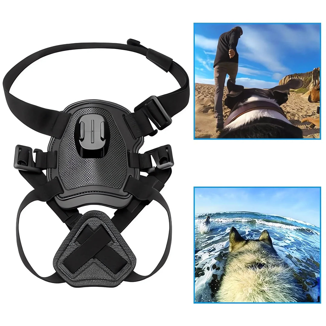 Action-Cam Hundesele med 360° Perspektiv Luvikno