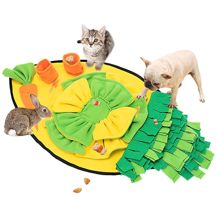 ScentQuest Interaktiv Sniffing Mat – SniffMaster Luvikno