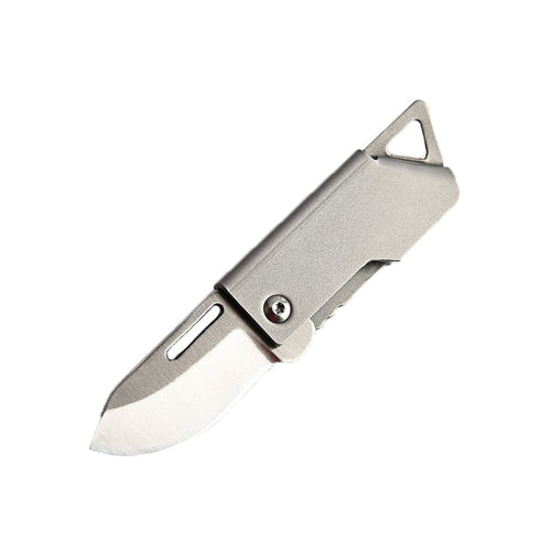 Foldbar Master Rustfritt Stål Overlevelse Mini Kniv | Luvikno