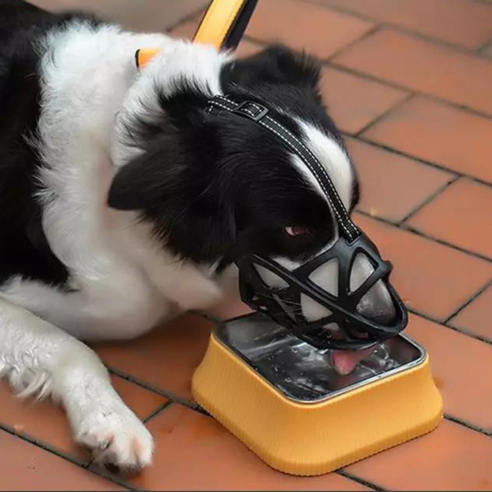 SafeBark Hundebur – Effektiv Anti-Bite og Anti-Bark Løsning, Pustende og Komfortabel | Luvikno