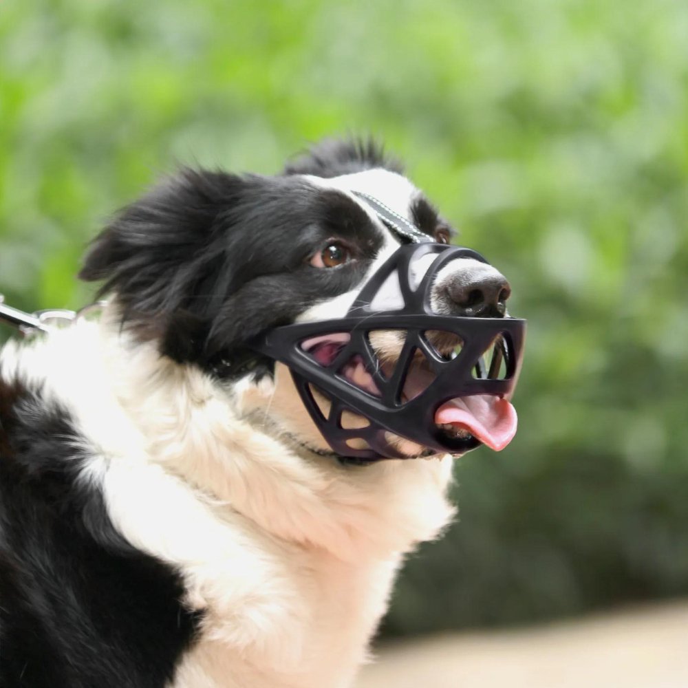 SafeBark Hundebur – Effektiv Anti-Bite og Anti-Bark Løsning, Pustende og Komfortabel | Luvikno