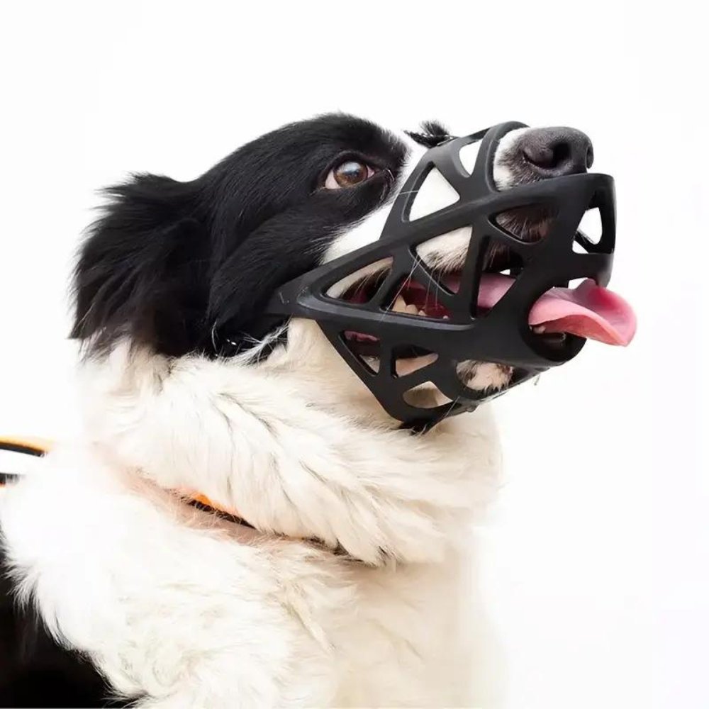 SafeBark Hundebur – Effektiv Anti-Bite og Anti-Bark Løsning, Pustende og Komfortabel | Luvikno